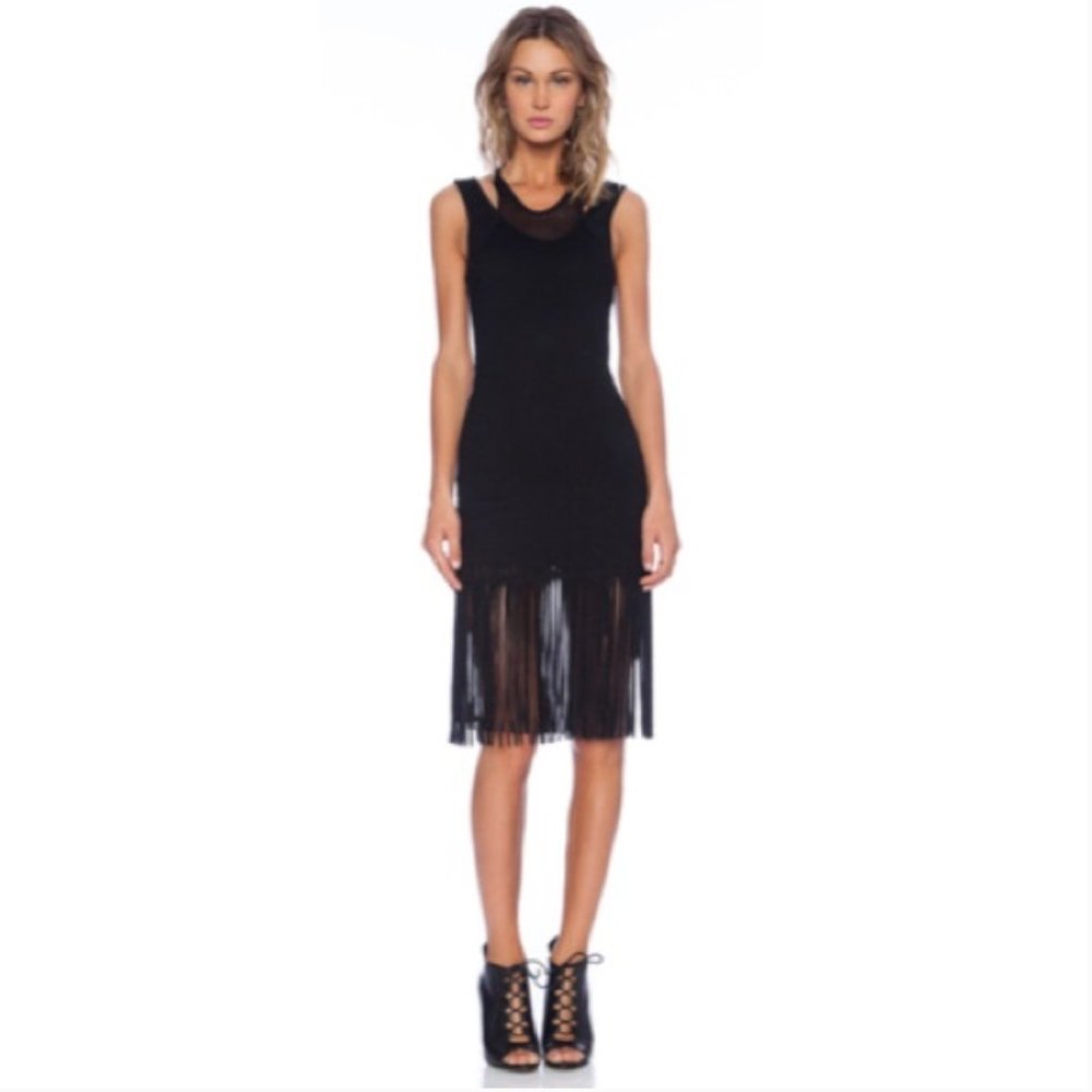 Riller & Fount Mesh Fringe Dress
